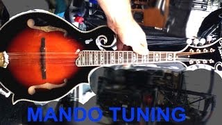 Mandolin Strings Tuning Lesson Video Shown How By Guitar Tech
