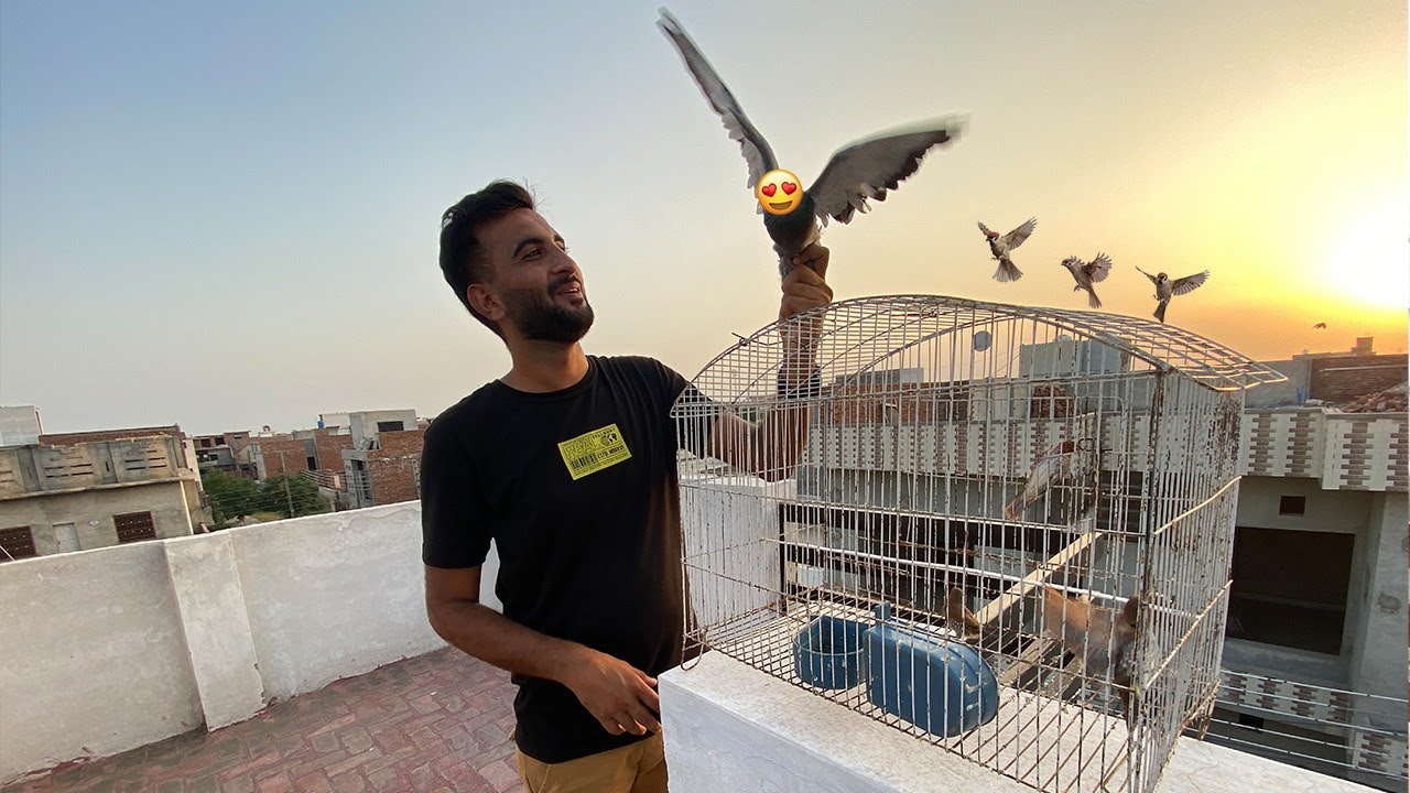 In Sb Ko Bhi Azad Kr Dia 🥰