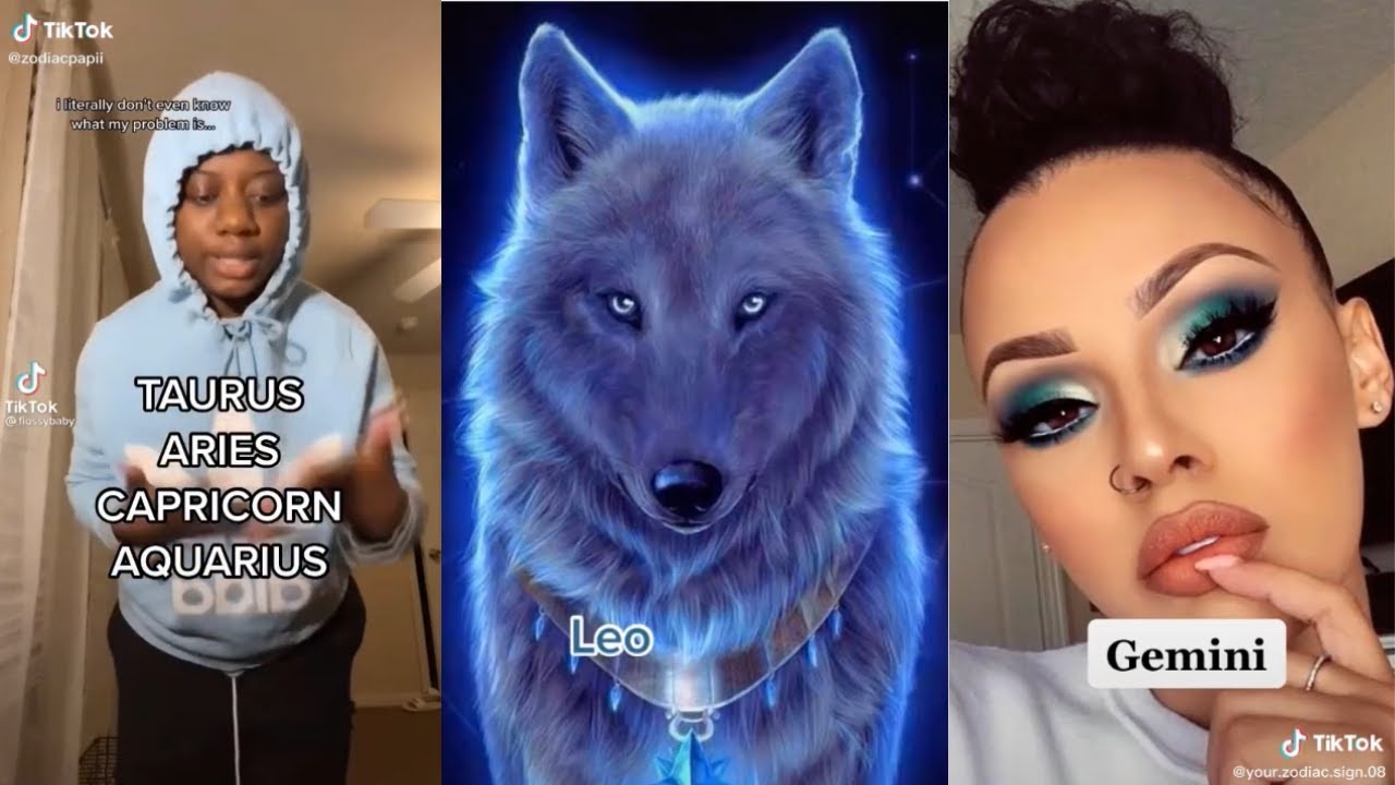 Zodiac Signs TikTok Compilation Zodiac Facts TikTok 7 YouTube