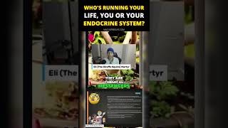 Whos running your life, you or your endocrine system
π¨ Bloated or Fatigued? FREE MASTERCLASS How to Defeat Fatigue and Bloating while Losing Weight...Eating the Foods You Want, CLICK HERE (Seats Limited) - https://go.mucusfreelife.com/free-masterclass-yt - (July 23, 2026 @7pmET)
π¨ Cravings, fatigue, bloating, or confusion with transition? Book a free call π https://live.mucusfreelife.com/bootcamp-apply
General Disclaimer: The information provided here is based on the experiences and research of Prof. Spira and his guests. It is for educational purposes only and is not medical advice. Prof. Spira is not a licensed medical practitioner or dietitian. Always consult a healthcare professional before starting any diet or exercise plan. Whos running your life, you or your endocrine system