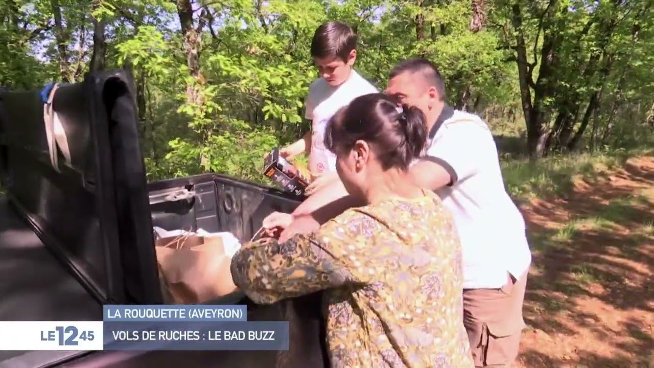 M6 Le Mag du 12h45 Vol de ruches