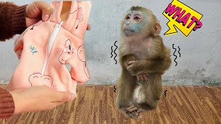 Mother Sewed Warm Clothes For Monkey Diana To Stay Warm In Winter
