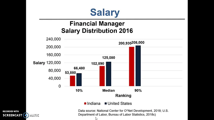 Financial Manager