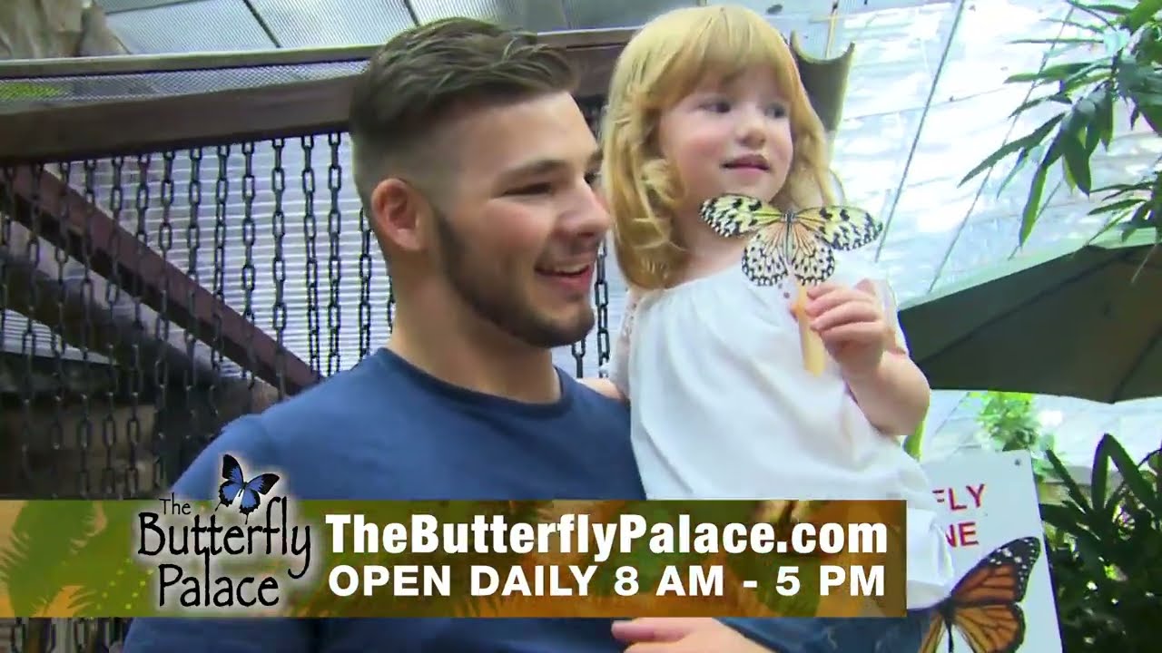 Butterfly Palace - Branson, MO