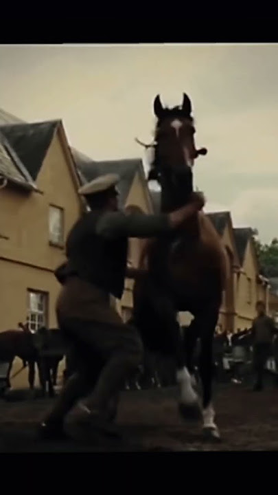 War horse edit 👑 joey 👑