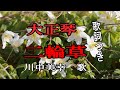大正琴/歌詞つき【二輪草】川中美幸歌/懐メロ