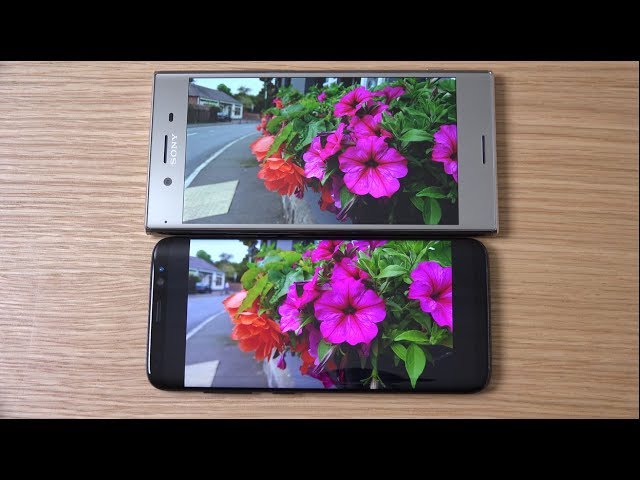 Sony Xperia Xz Premium Vs Samsung Galaxy S8 Camera Comparison Youtube