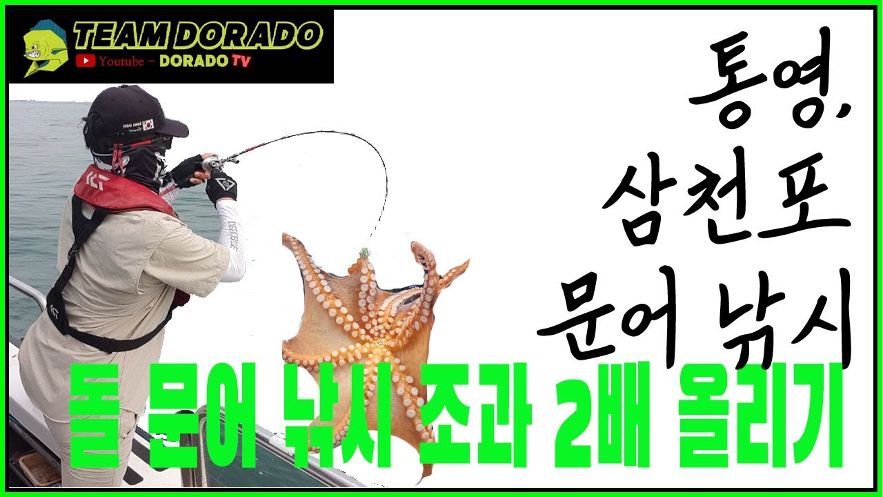 금어기 해제 문어 낚시. 조과 2배 올리기 ( 삼천포 문어, 통영 문어, 남해 문어, 돌문어 낚시, 문어 낚시 준비물, 문어 낚시 채비, 문어 장비. 도라도 TV )