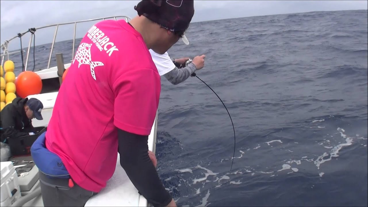 センタープレートシステムのメタルジグって何!? REALS「プレートジャー