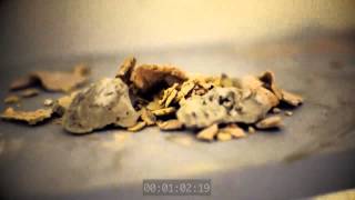 Hidden Room Exploration