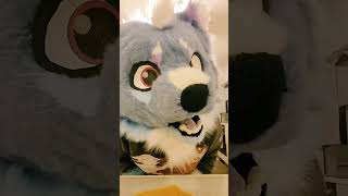 RAWR #furry #furryyoutube #foryou #fursuit #furries #furryfandom #furryfridays #fursuiters