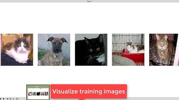 Image classification