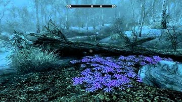 The Elder Scrolls V: Skyrim Dawnguard DLC Playthrough - Part 43