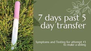 7Dp5Dt Symptoms, Basal Body Temp And Line Progression 3Dpt - 7Dpt