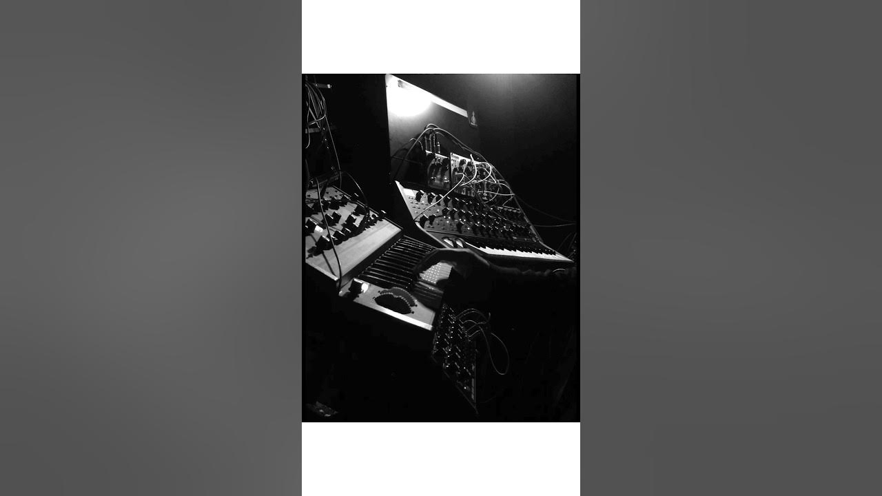 honey-trapper-dance-version-youtube