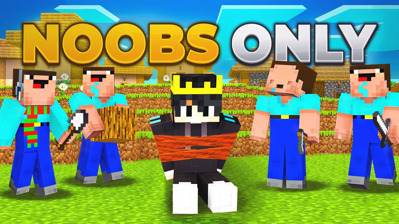 I Spent 24 Hours on a NOOB Minecraft Server and Here's What Happened