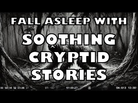 Soothing Cryptid Stories - Slothfoot & Aidakhar