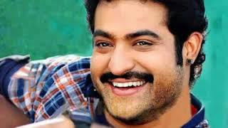 N.t.r Veera Super Fan Nenayya