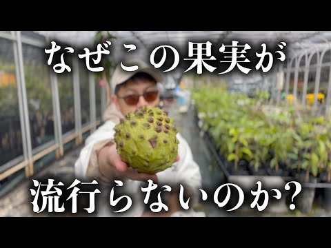 The sorrows of a fruit-loving YouTuber - YouTube