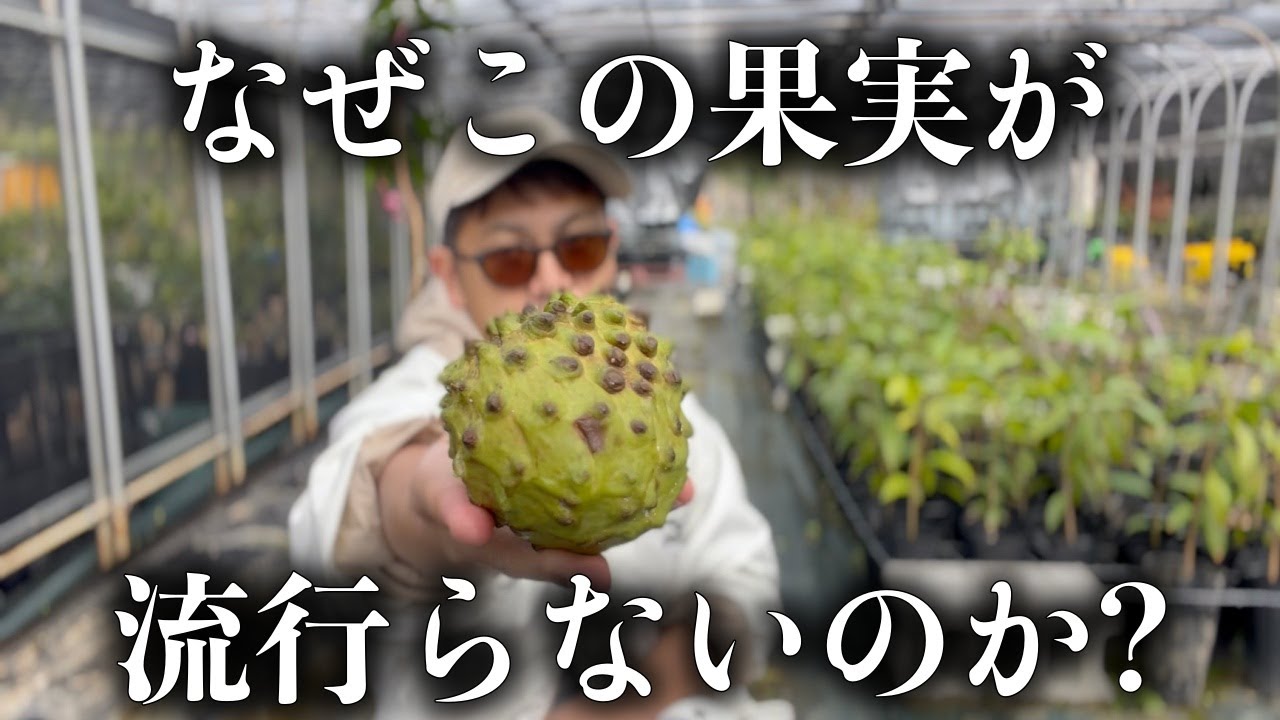 The sorrows of a fruit-loving YouTuber - YouTube