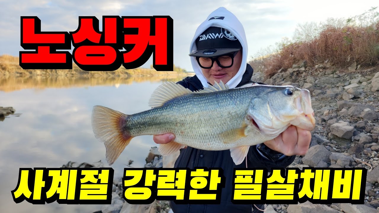 배스낚시 필살채비 노싱커 채비 / bass fishing