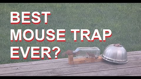 Best mouse trap...ever?