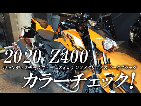 オレンジ色 キツネ型 プラスチックアイテム 円形シール Xシリーズ 偏光オレンジ （2.0～6.0mm）（1枚入
