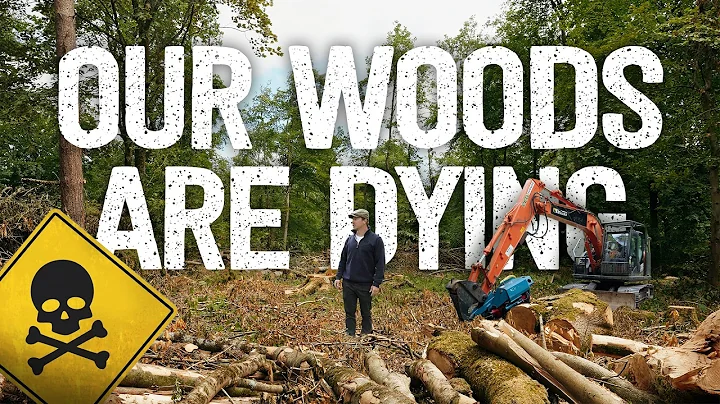 We Had to Cut Down 100-Year-Old Trees – Here’s Why!!