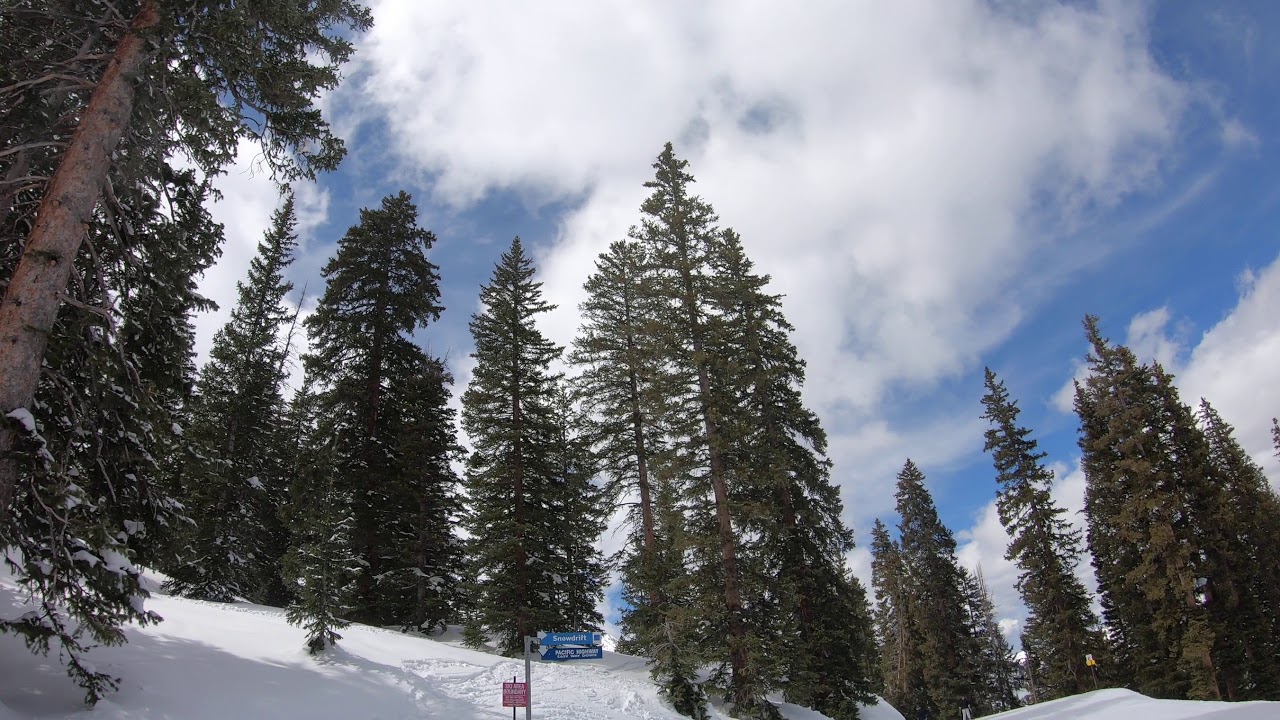 Brighton 1 April 2019