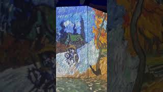 #explore #vangogh #immersiveexperience