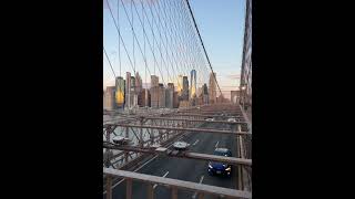 IMG 6390