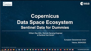 Sentinel Data for Dummies