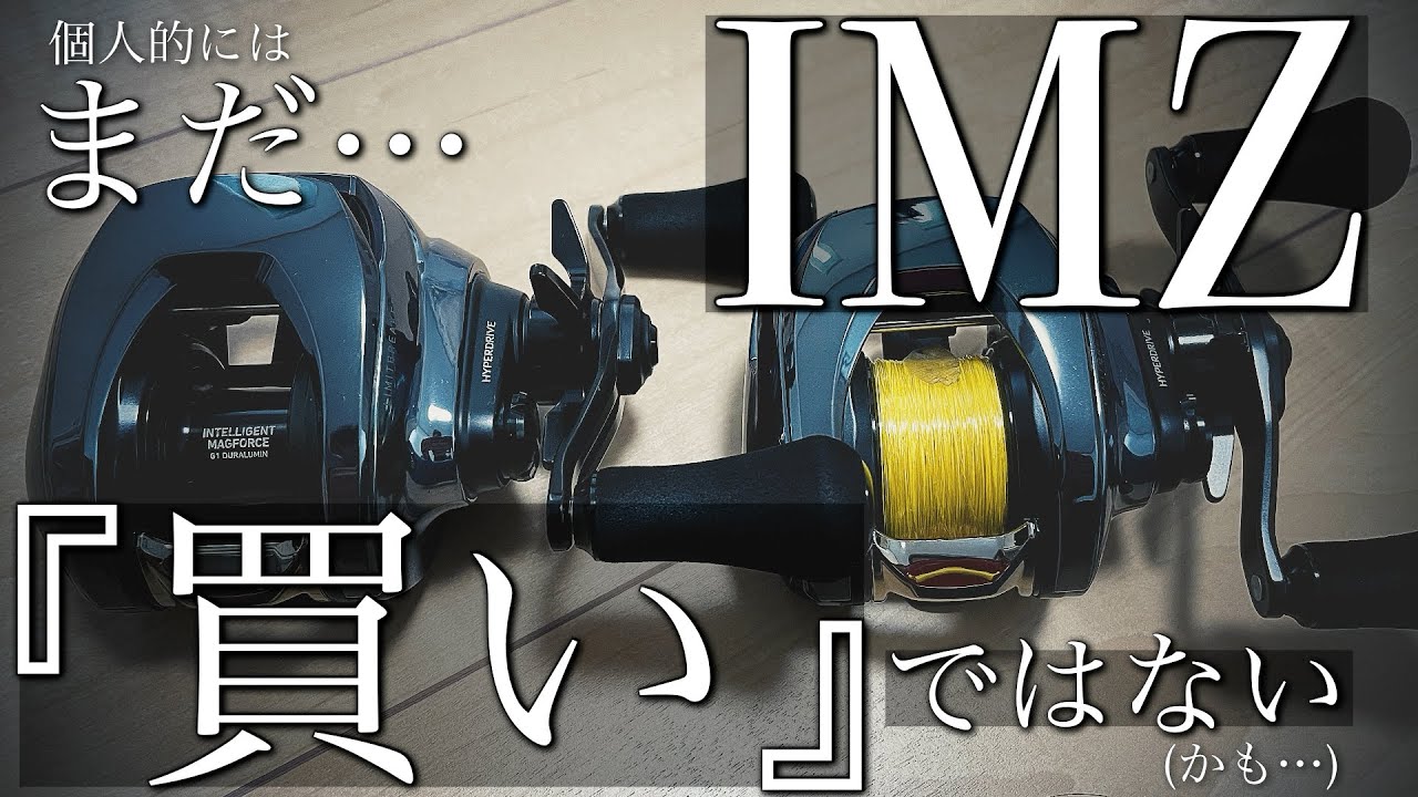 正直に】ぶっちゃけIMZってどうなん？？今はまだ買いじゃない？！悪い