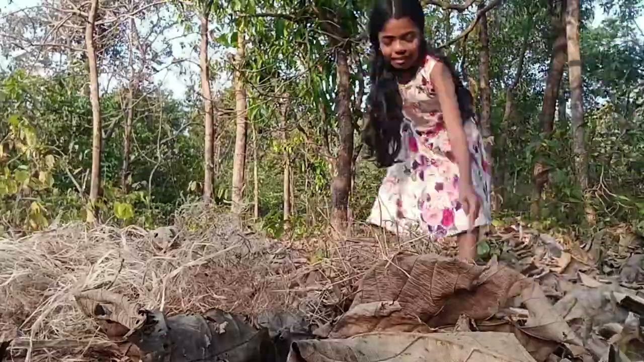 आम्ही गेलव आमचा काजीचा परडा साफ करुक 🌳🌳