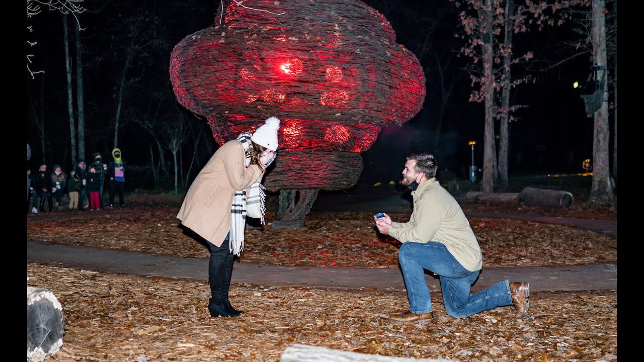 North Forest Lights Proposal | Brett & Mary Taylor
