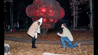 North Forest Lights Proposal | Brett & Mary Taylor