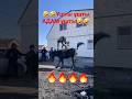 😱😱Адам ұшу деген осыма?😱😱 #compilation #horse #horseriding #war #rek #кокбору #хочу#концовка #финиш