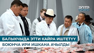 БАЛЫКЧЫДА ЭТТИ КАЙРА ИШТЕТҮҮ БОЮНЧА ИРИ ИШКАНА АЧЫЛДЫ