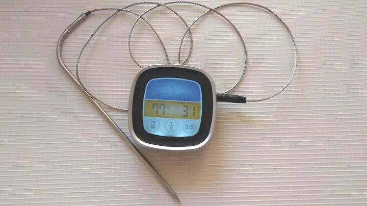 Termômetro digital de forno da Banggood, TS-S62. Sobrevive a 200°C?