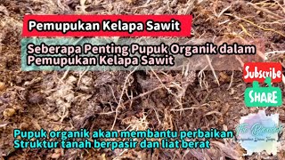How Important Is Organic Fertilizer In Fertilizing Oil Palm Plants