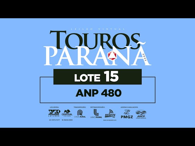 LOTE 15 ANP 480