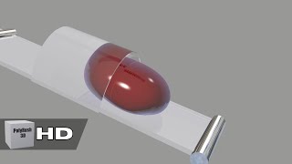 Softbody Simulation - Maroon - V12