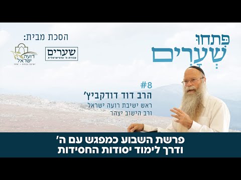 פרשת השבוע כמפגש עם ה ודרך לימוד יסודות החסידות פתחו שערים 8 הרב דוד דודקביץ 