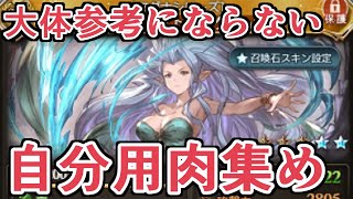 だいたい参考にならないみざの自分用肉集め編成を仮組みする動画【グラブル】