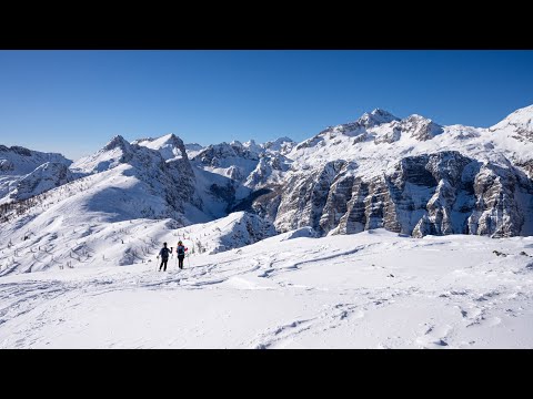 Mrežce | 29.1.2023