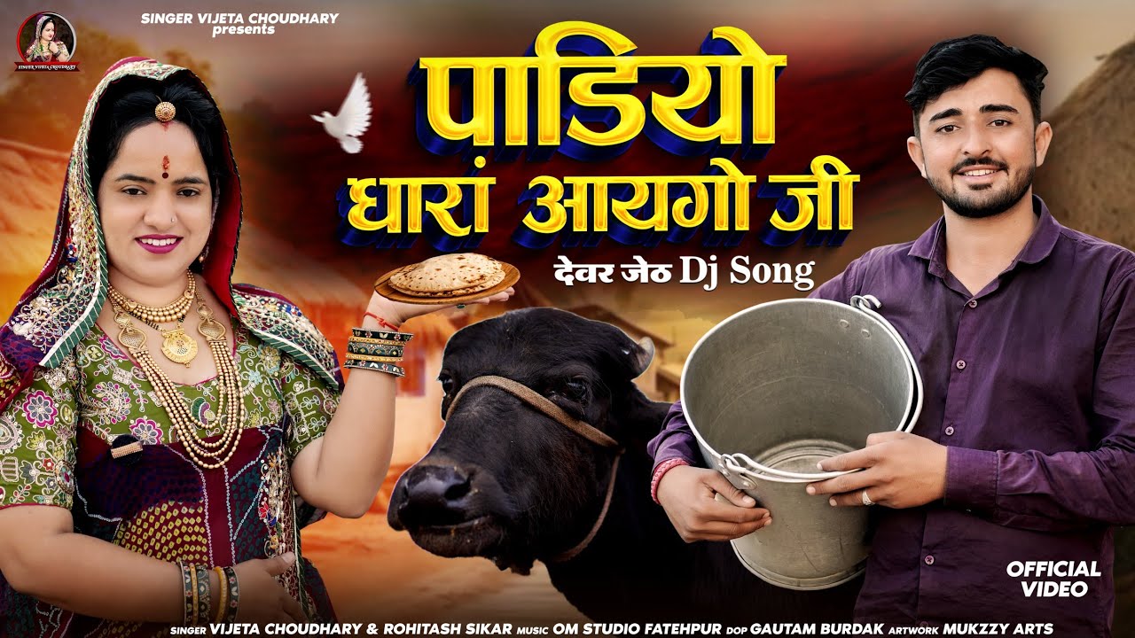 पाडीयो धारां आयगो जी || देवर जेठ DJ Song 2025 || Padiyo Dharan Aaygo Ji || Singer Vijeta Choudhary 