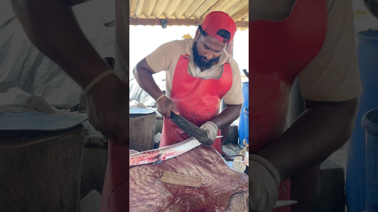 Unbelievable Gar Fish Cutting Mastery 😱 Fastest Needlefish Slicing Skills in the World 