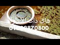 طريقه زراعه الازولا والخامات المطلوبه وكمياتها على اخر ابحاث 2018 من هاى داى 01002870800