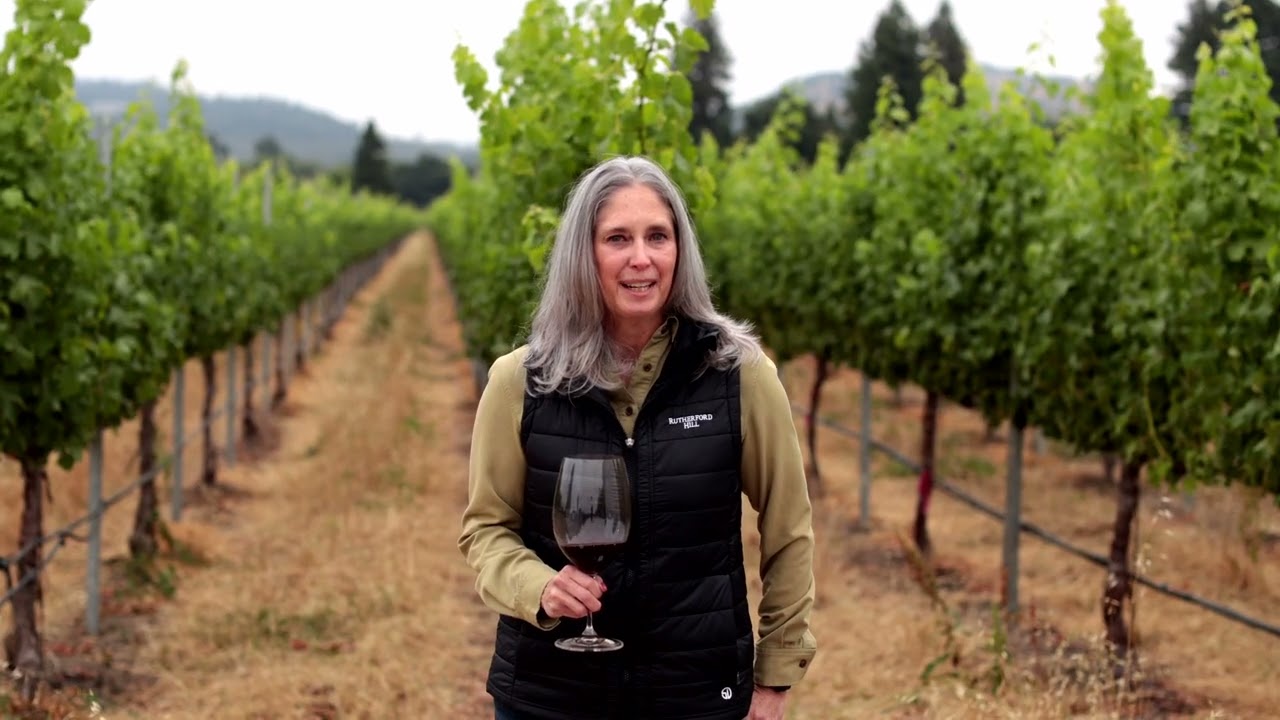 Rutherford Hill AJT Collection 1440p