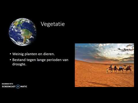 weer en klimaat - woestijnklimaat